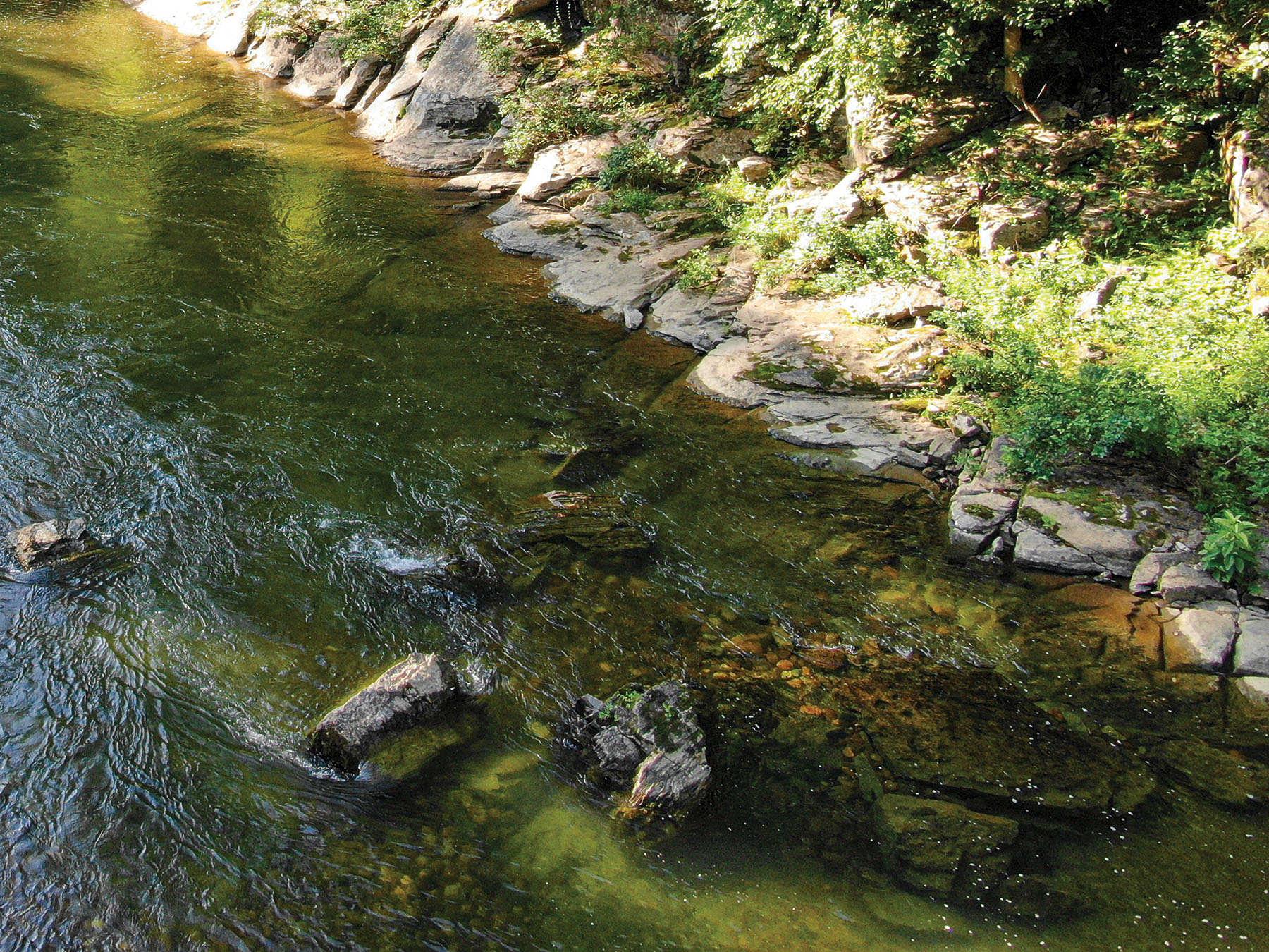 River Ridge Ranch property picture 38 of 63