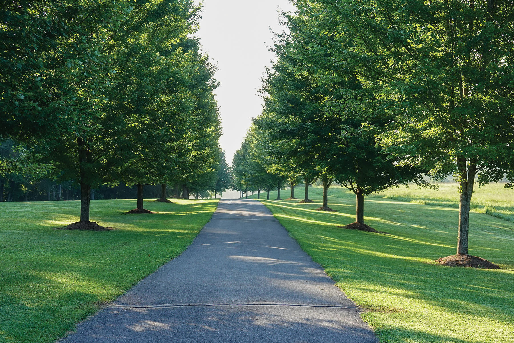 River Ridge Ranch property picture 13 of 63