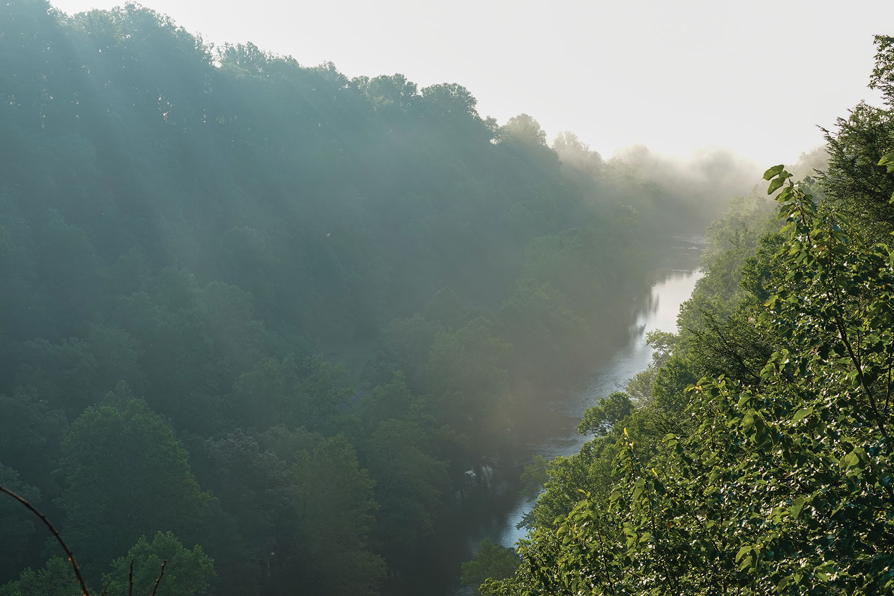 River Ridge Ranch property picture 40 of 63
