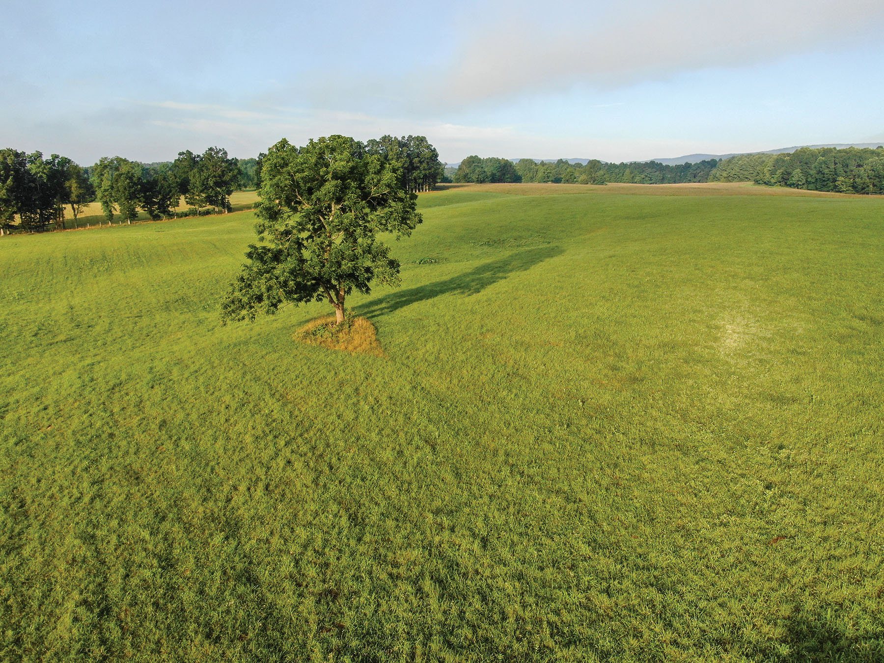 River Ridge Ranch property picture 12 of 63