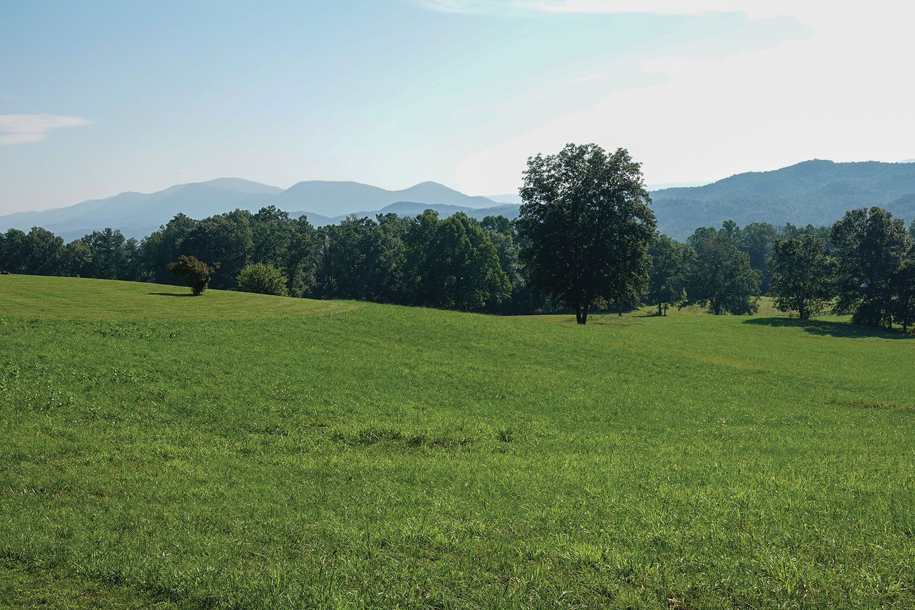 River Ridge Ranch property picture 42 of 63