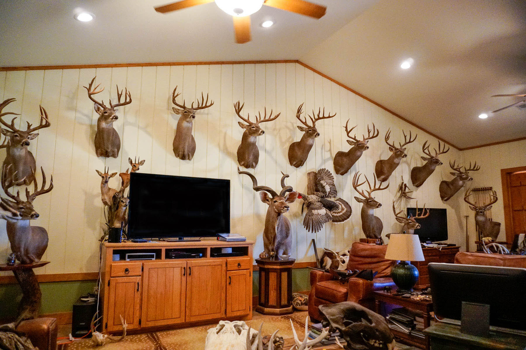 Campos Viejos Ranch property picture 16 of 31