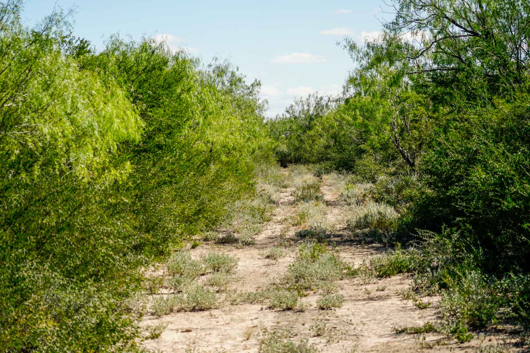 Campos Viejos Ranch property picture 7 of 31