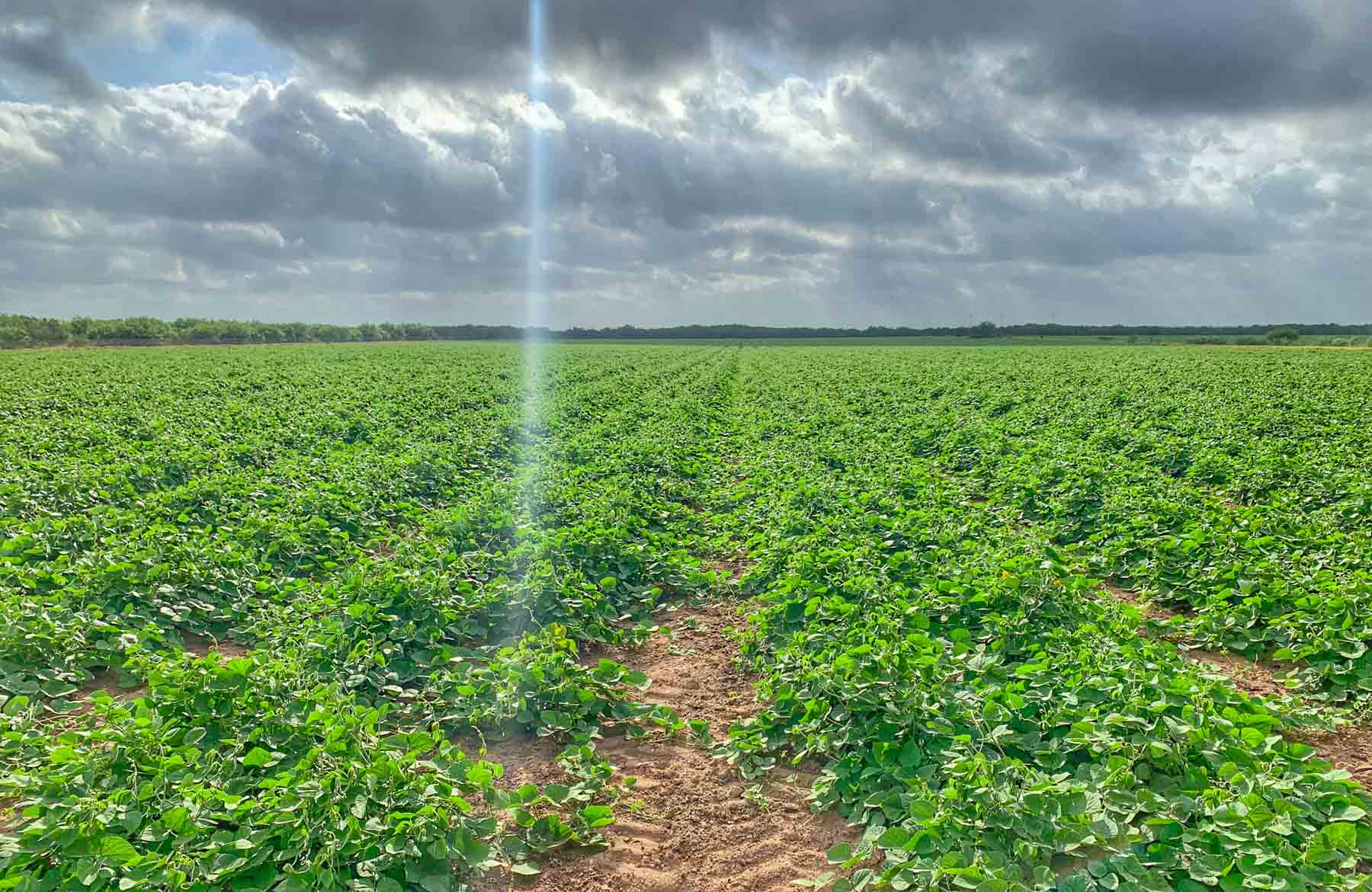 Campos Viejos Ranch property picture 4 of 31