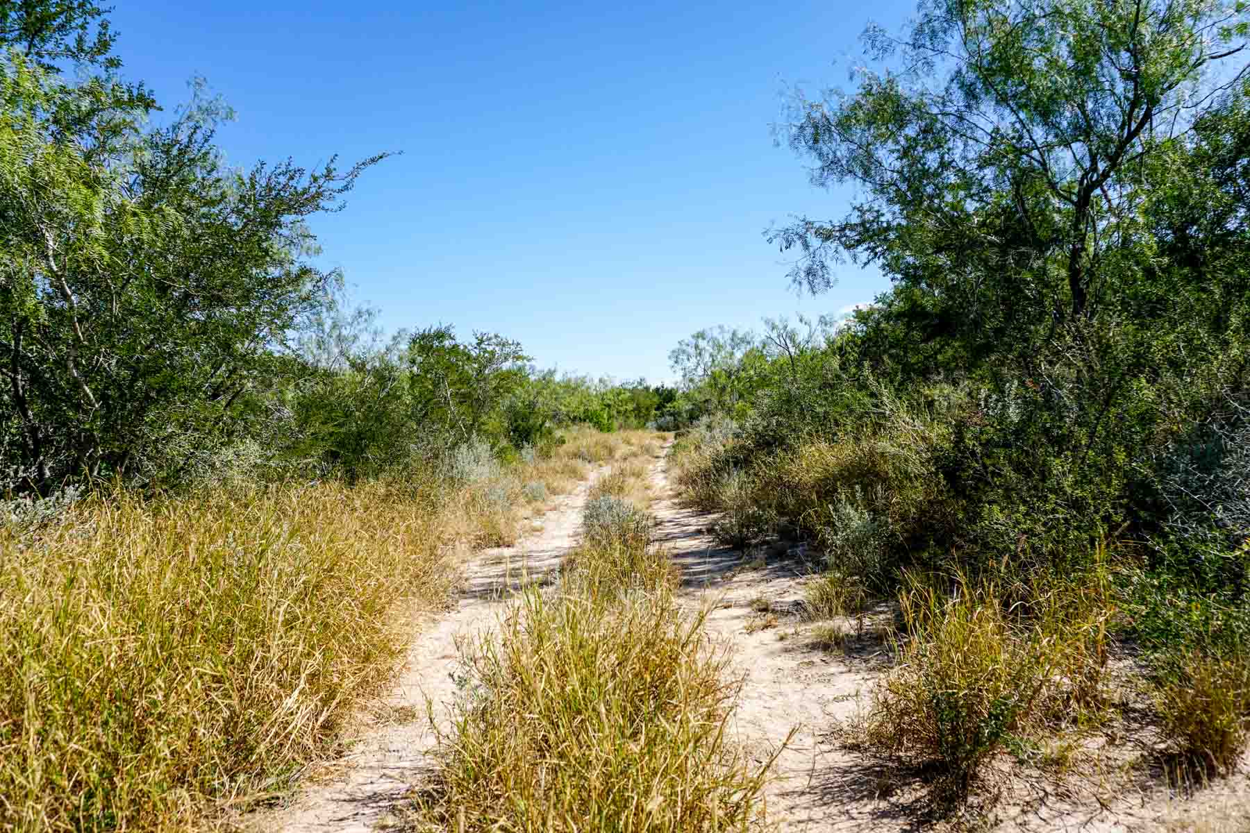 Campos Viejos Ranch property picture 20 of 31