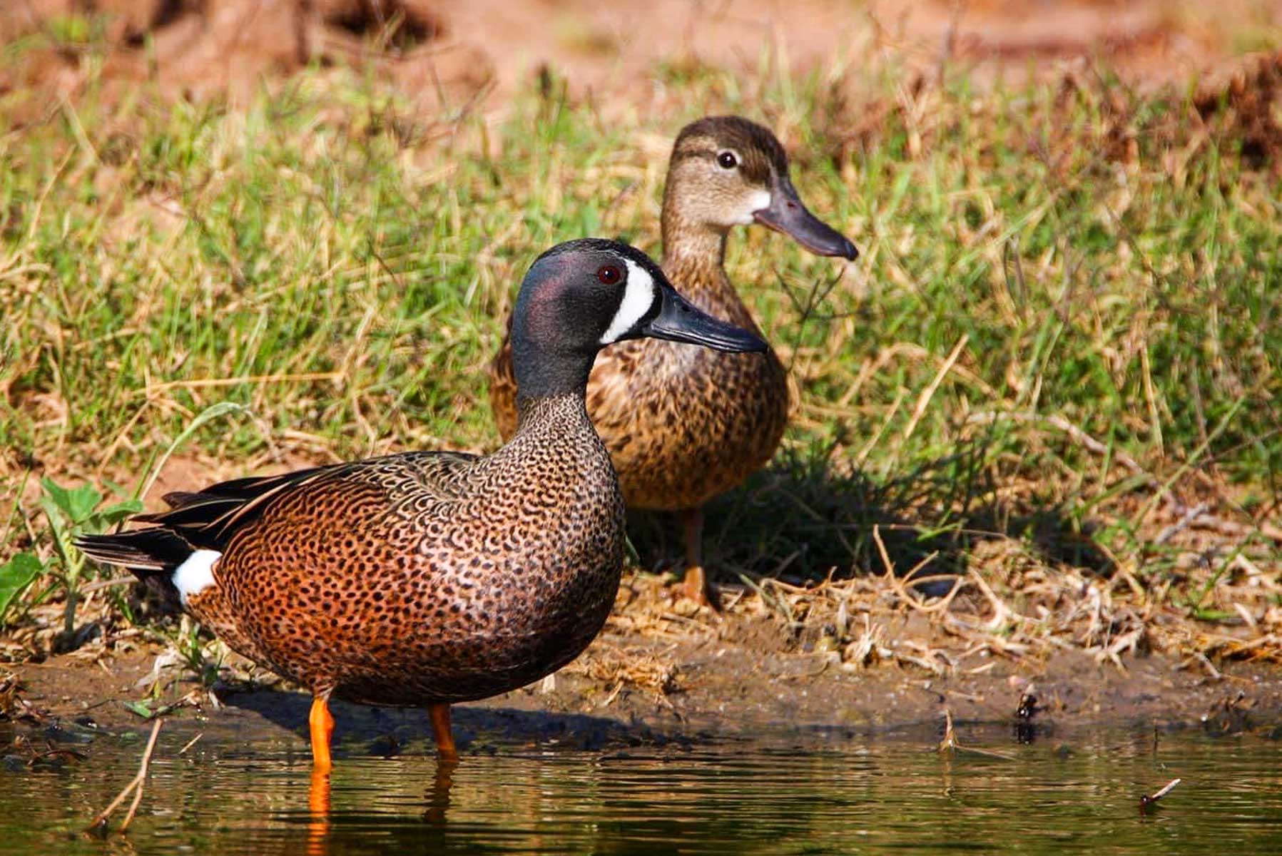 Campos Viejos Ranch property picture 30 of 31