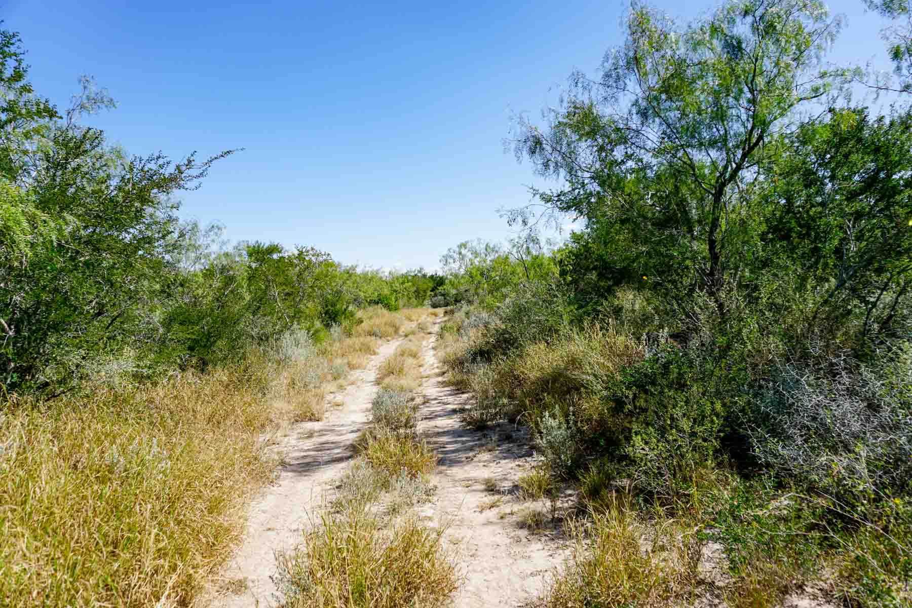 Campos Viejos Ranch property picture 26 of 31