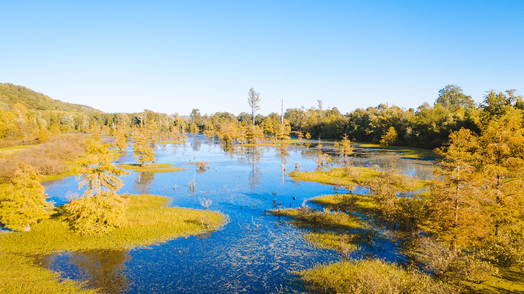 Clifton Bend property picture 36 of 56