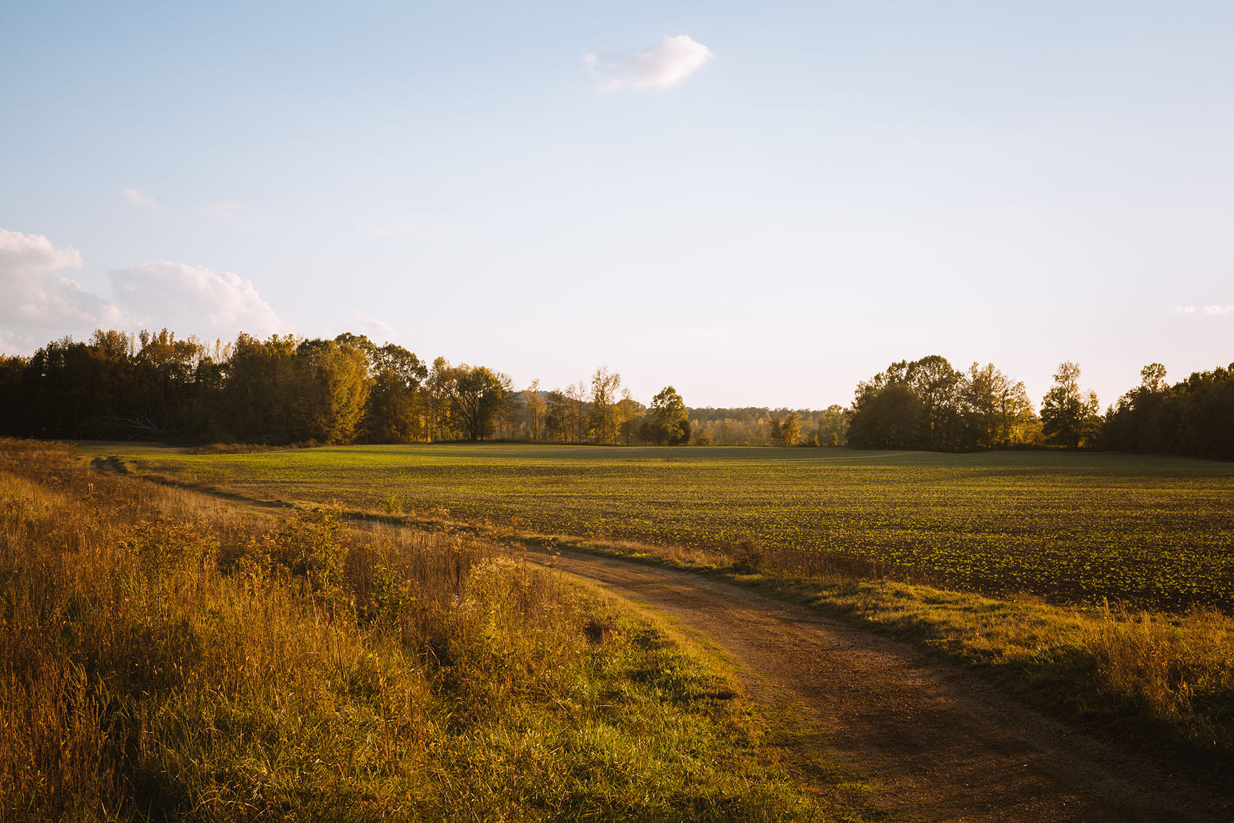 Clifton Bend property picture 12 of 56