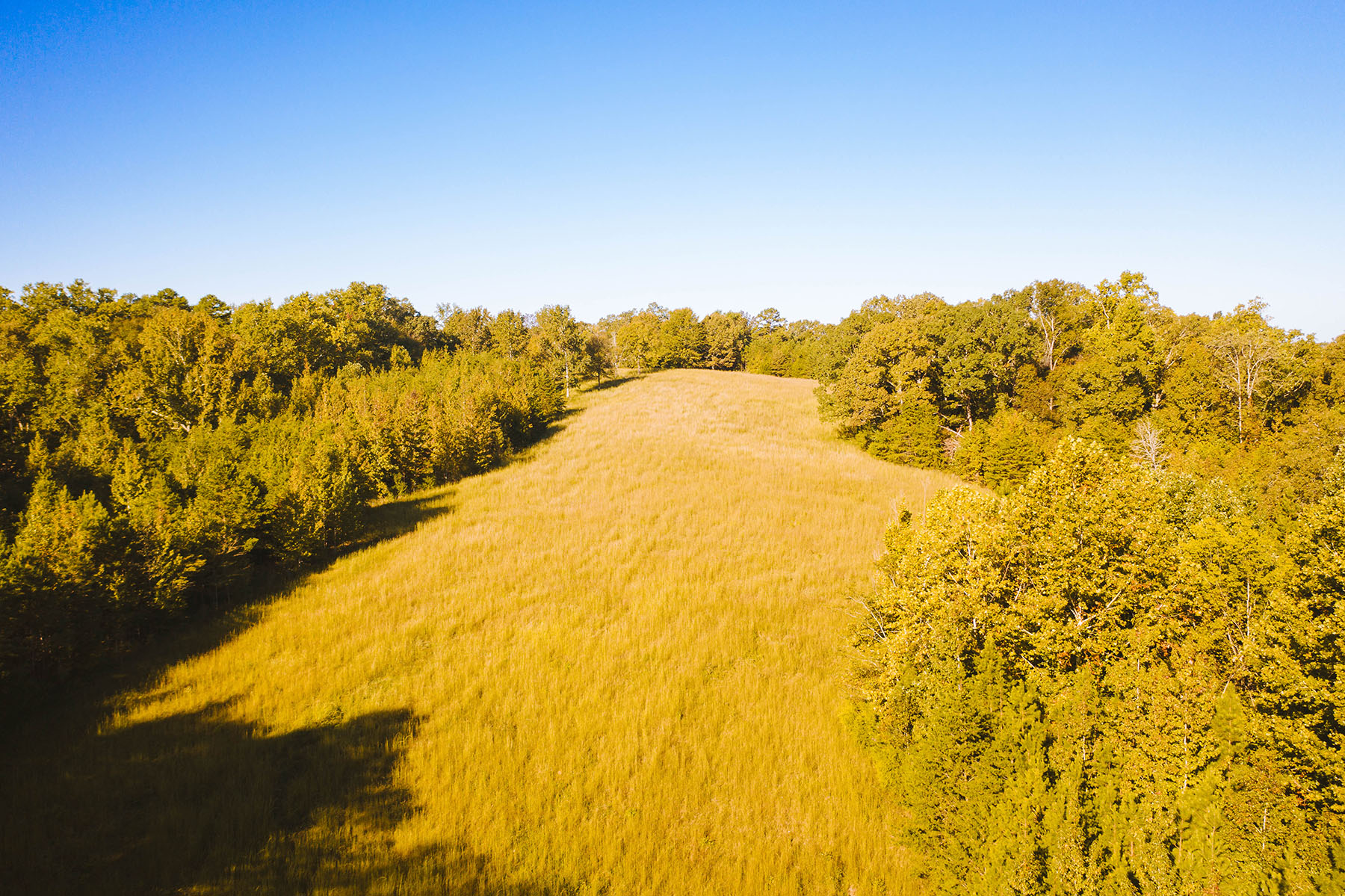 Clifton Bend property picture 53 of 56