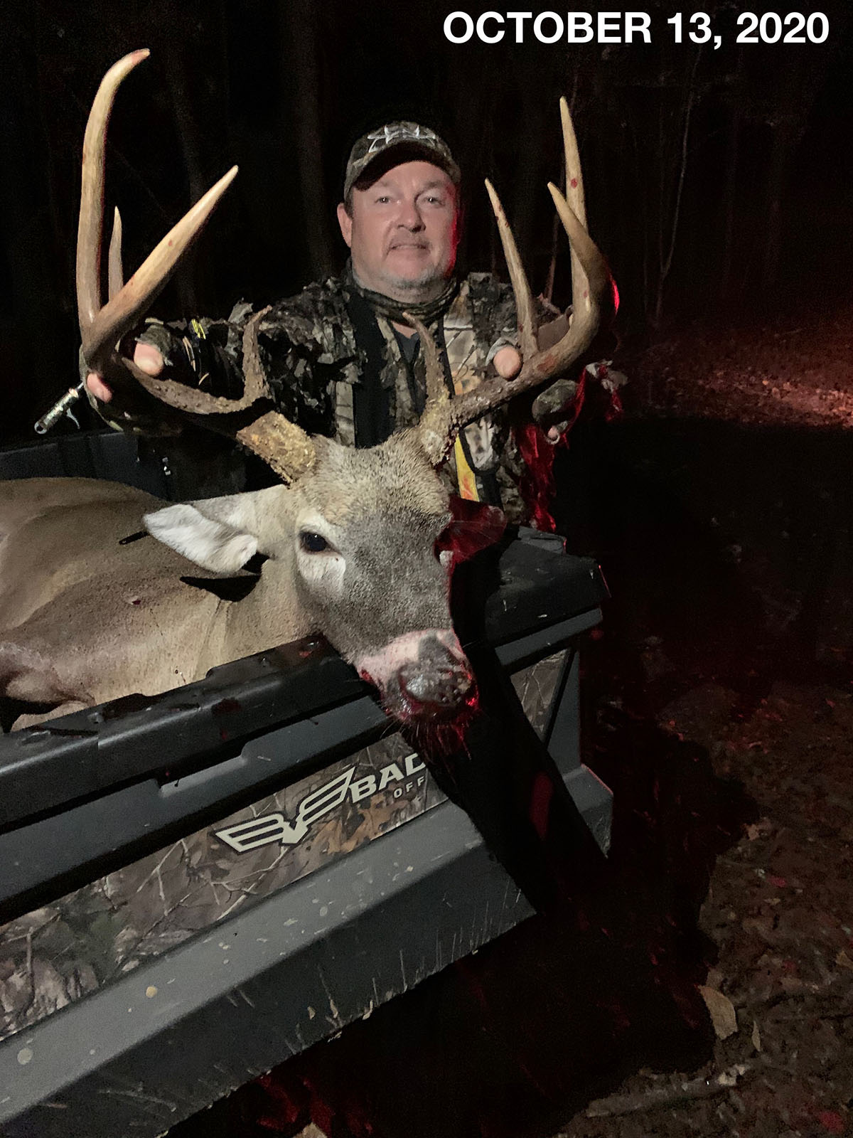 Clifton Bend property picture 6 of 56