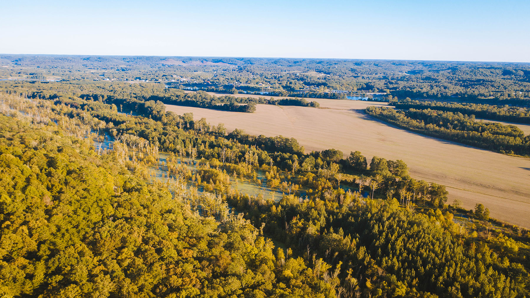 Clifton Bend property picture 29 of 56