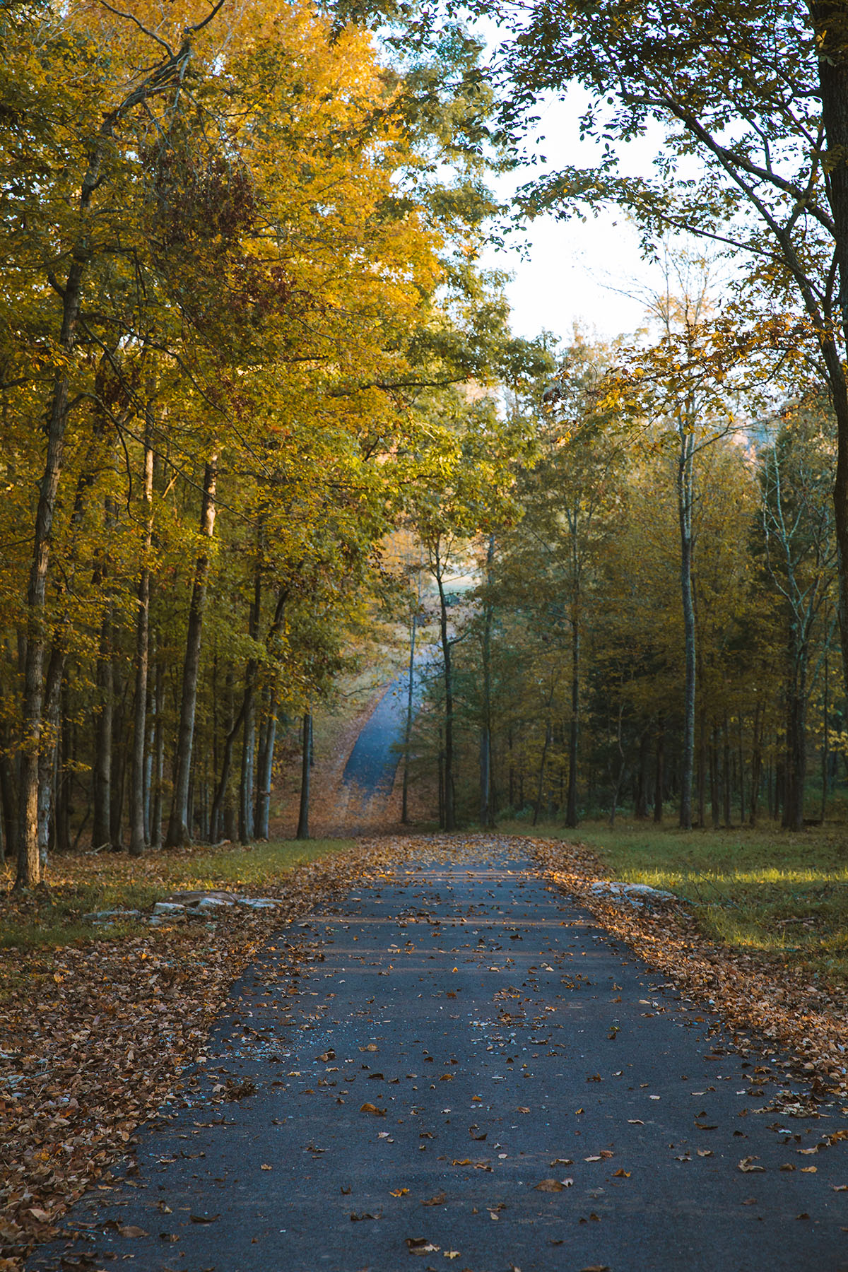Clifton Bend property picture 37 of 56
