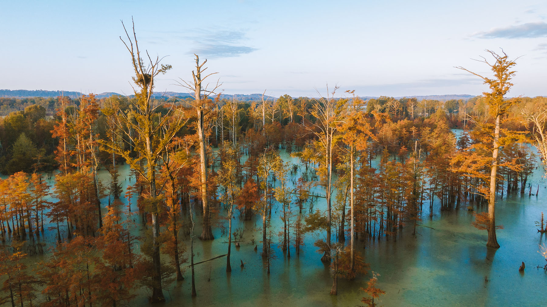 Clifton Bend property picture 34 of 56