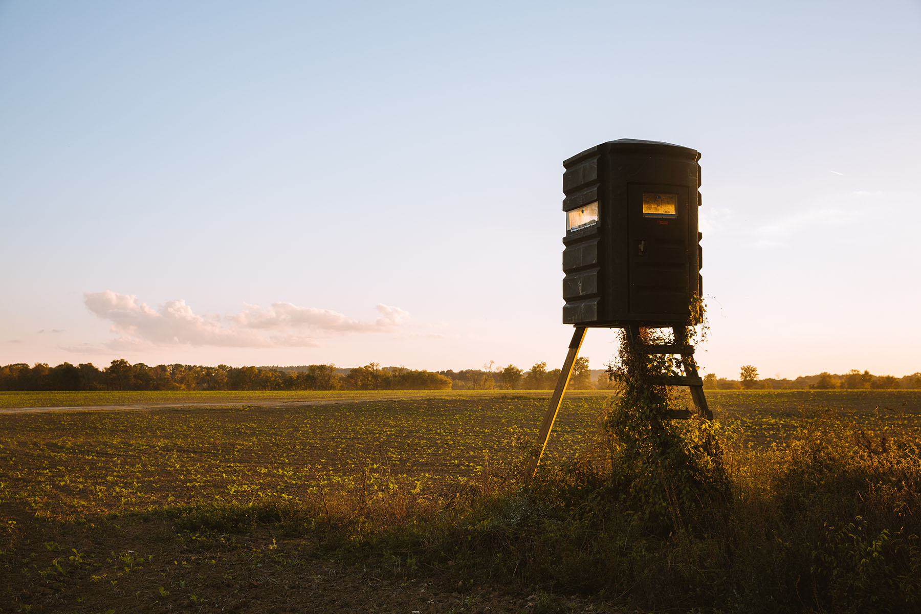Clifton Bend property picture 13 of 56