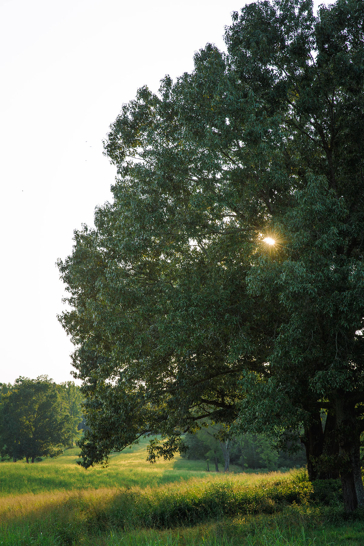 Clifton Bend property picture 9 of 56