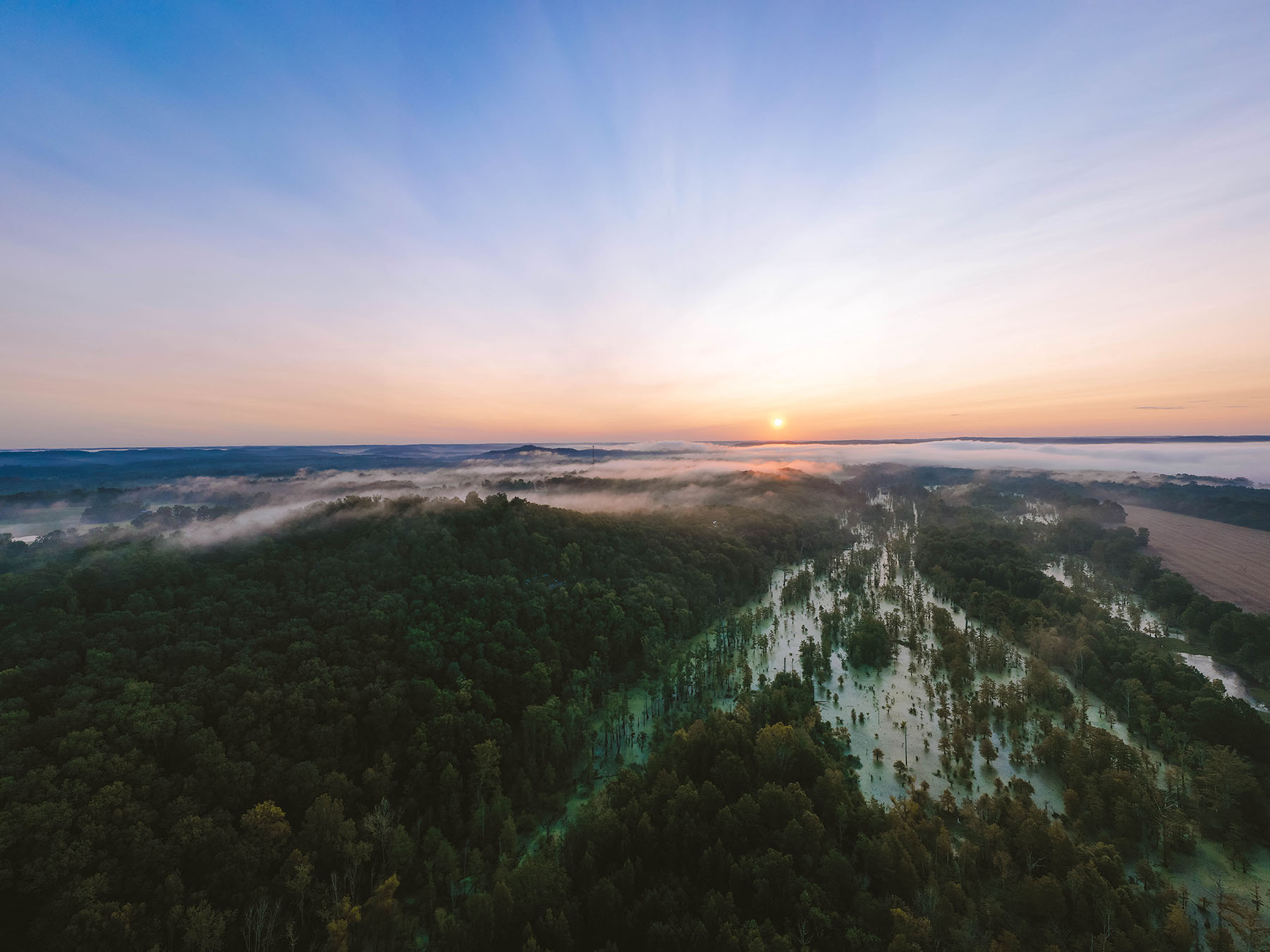 Clifton Bend property picture 8 of 56