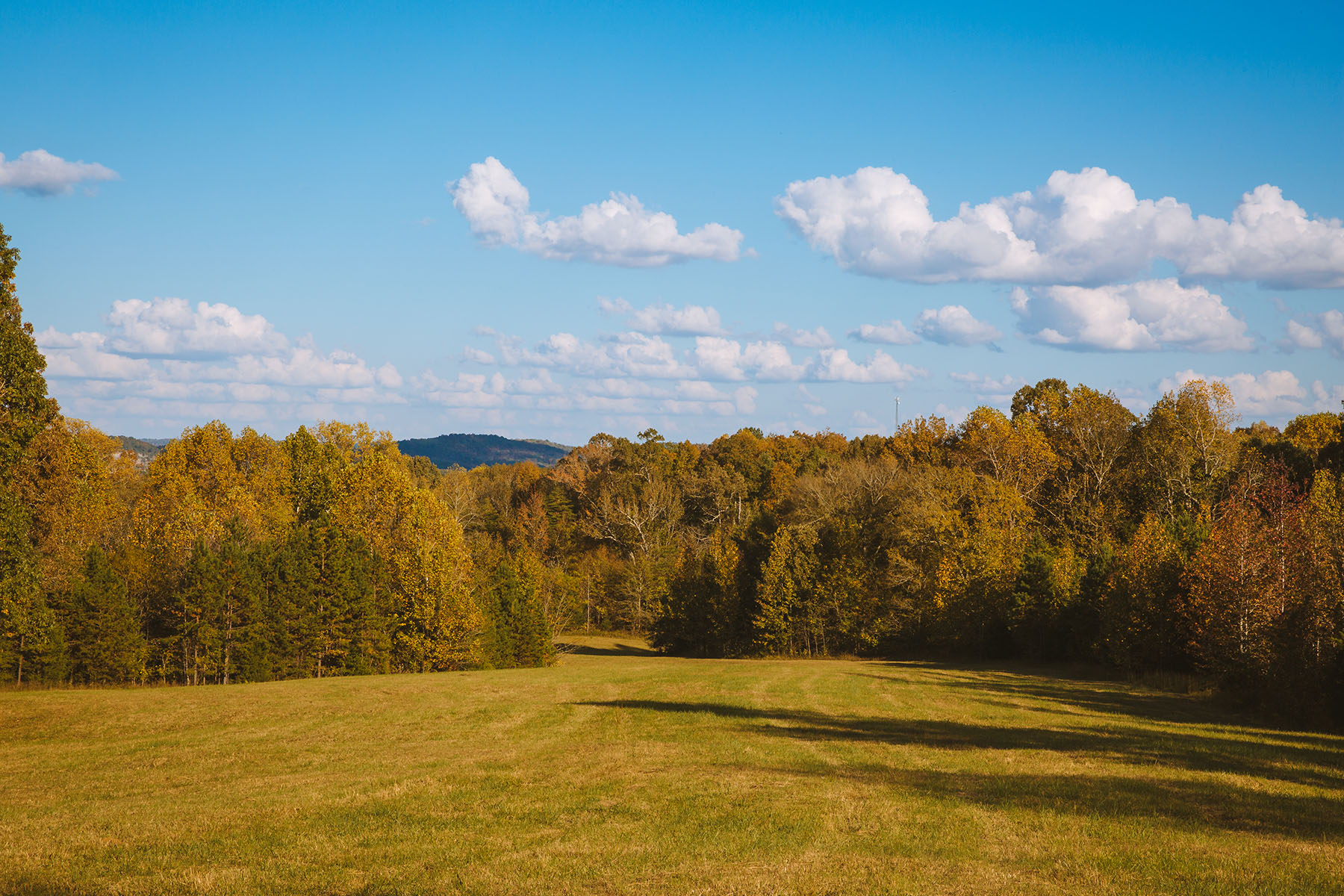 Clifton Bend property picture 28 of 56