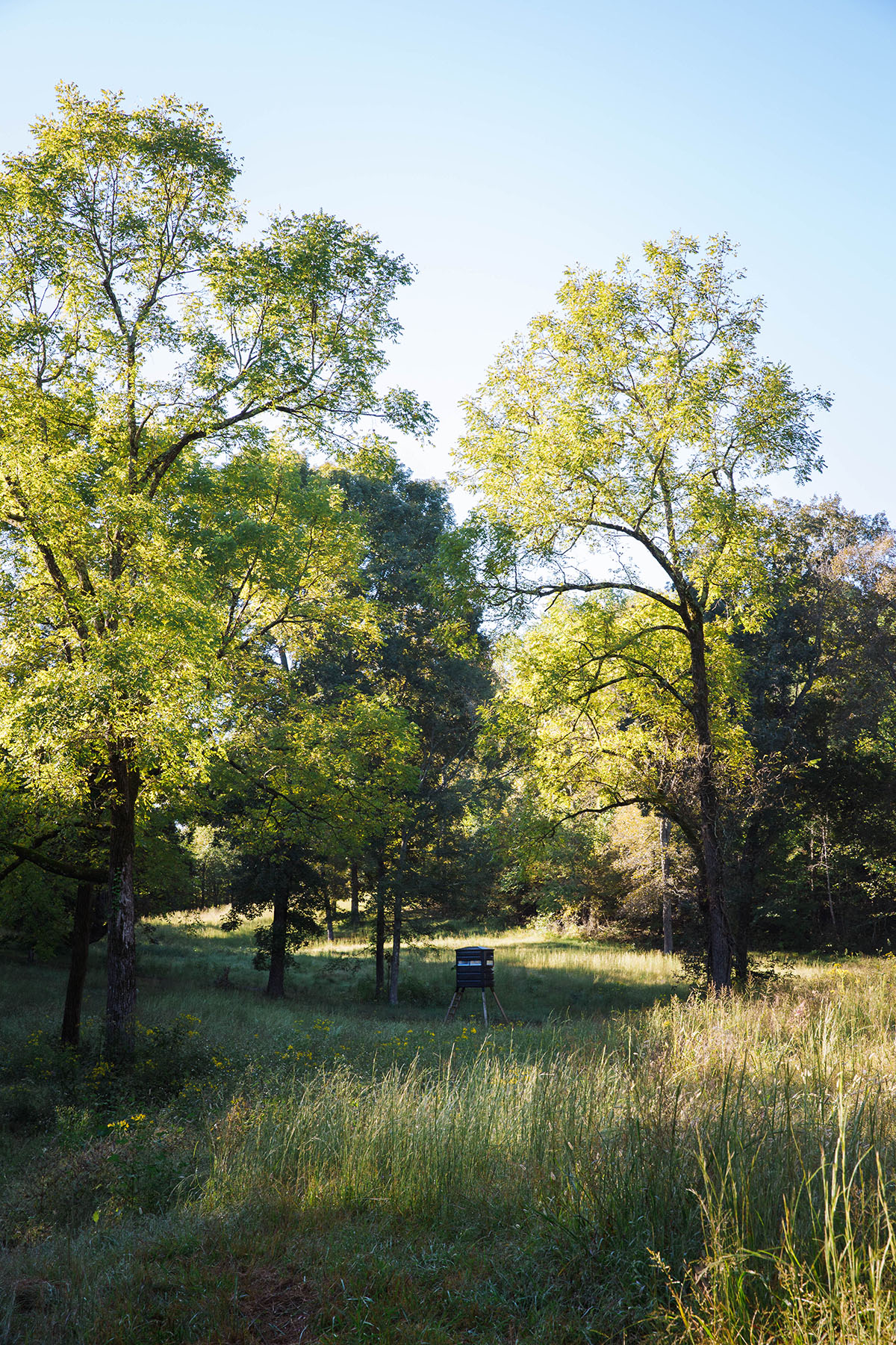 Clifton Bend property picture 56 of 56