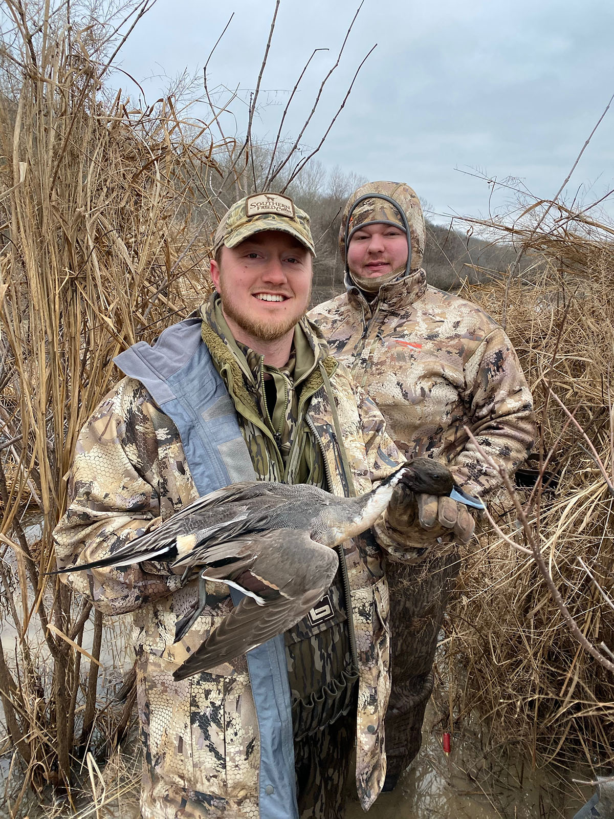 Clifton Bend property picture 20 of 56