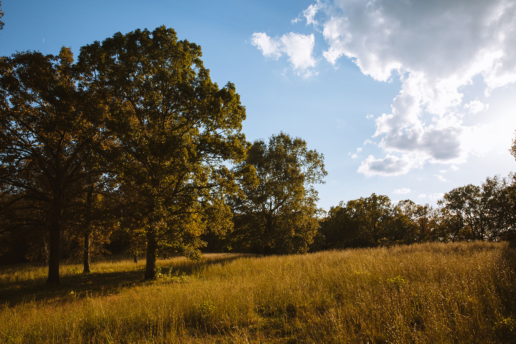 Clifton Bend property picture 32 of 56