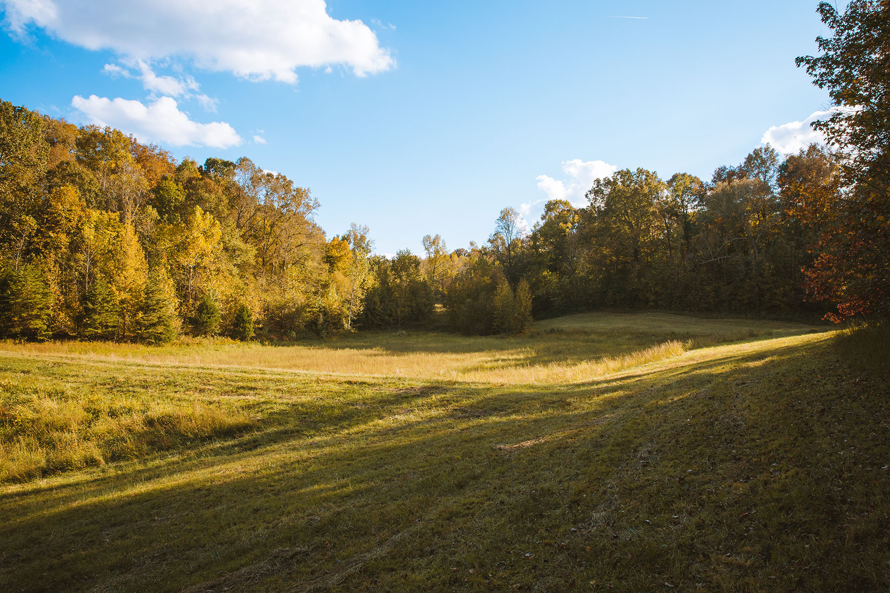 Clifton Bend property picture 23 of 56