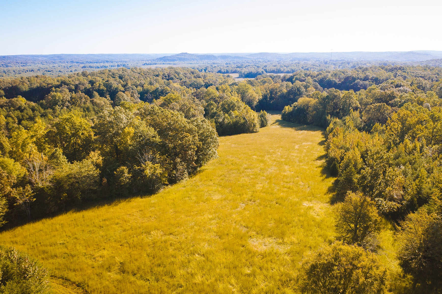 Clifton Bend property picture 54 of 56