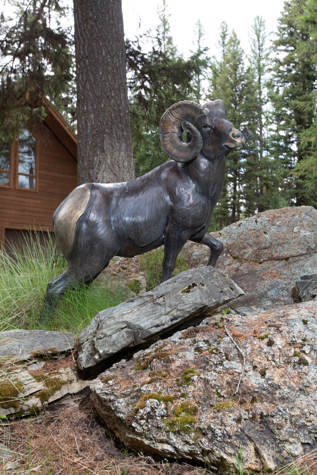 The Salmon Prairie Ranch property picture 54 of 89