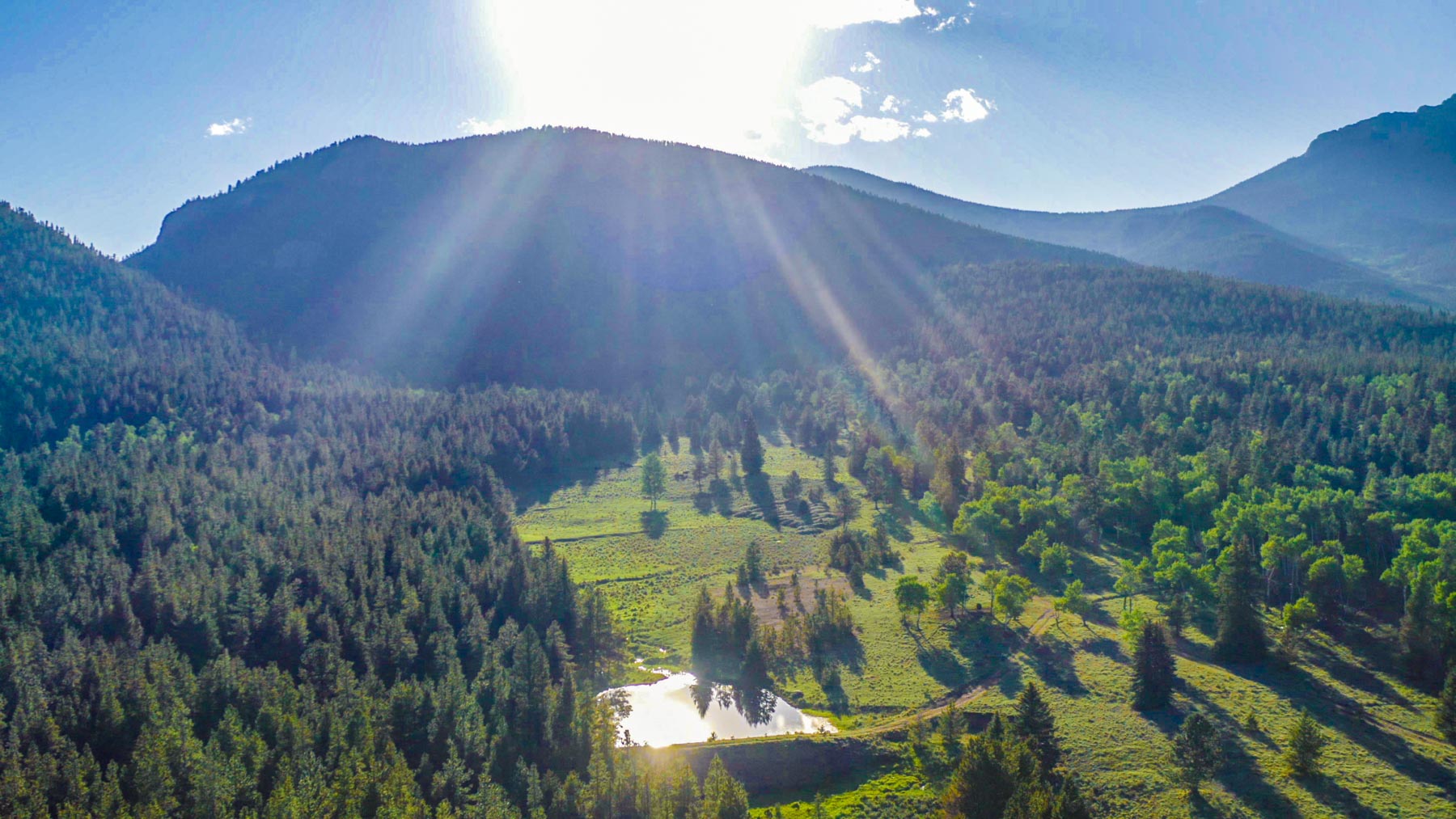 Beaver Meadows For Sale Colorado Hall and Hall