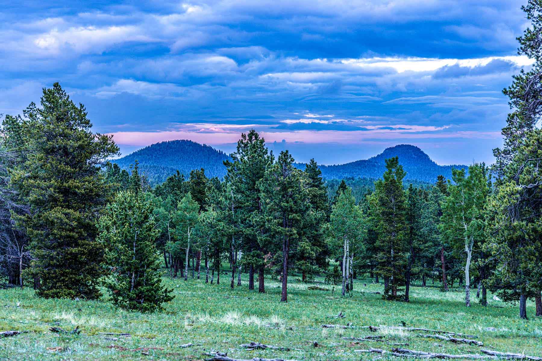 Beaver Meadows For Sale Colorado Hall and Hall