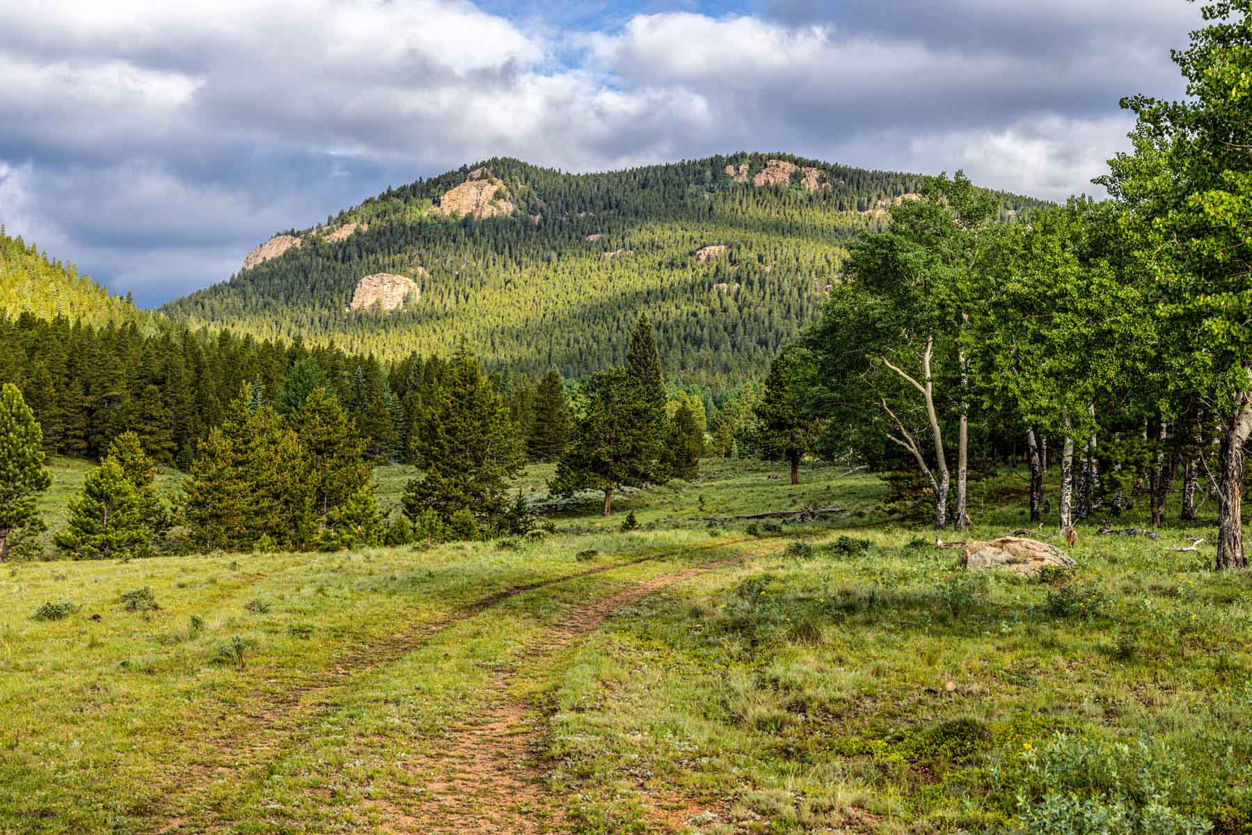 Beaver Meadows For Sale Colorado Hall and Hall