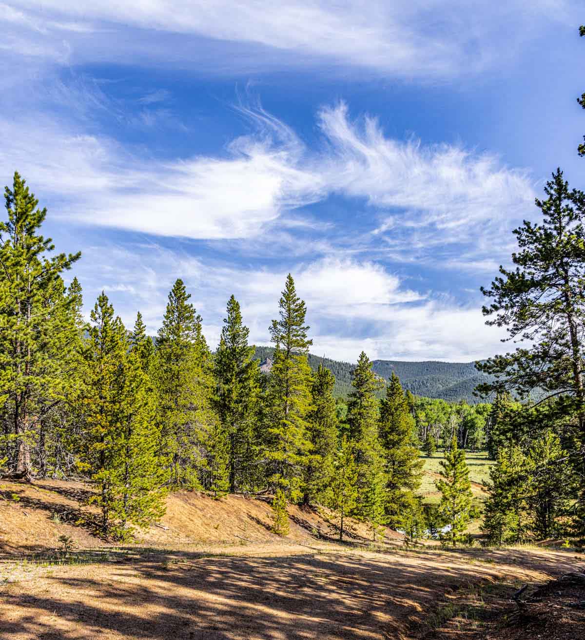 Beaver Meadows For Sale Colorado Hall and Hall