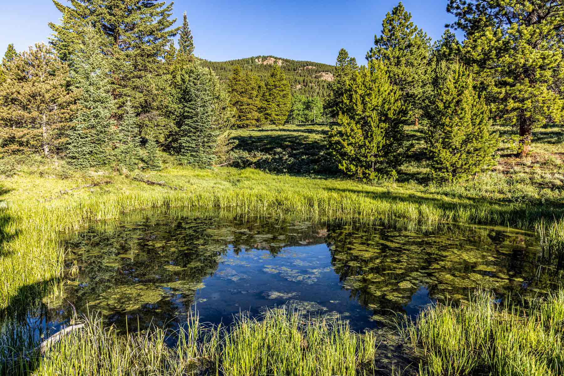 Beaver Meadows For Sale Colorado Hall and Hall