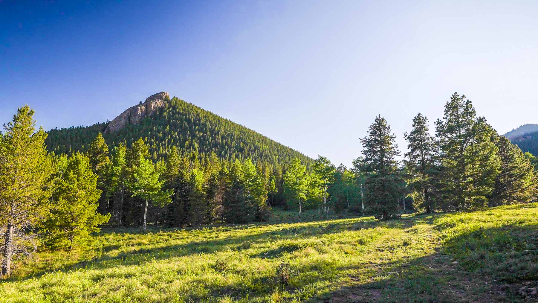 Beaver Meadows For Sale Colorado Hall and Hall