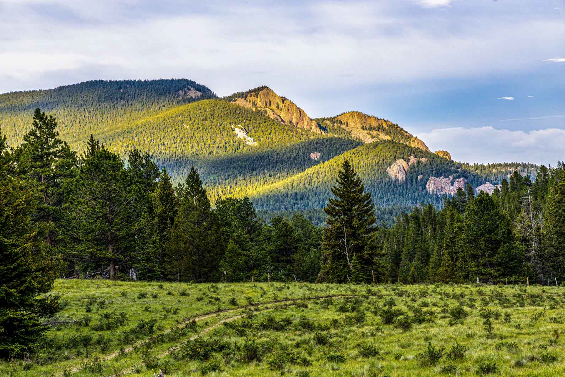 Beaver Meadows For Sale Colorado Hall and Hall