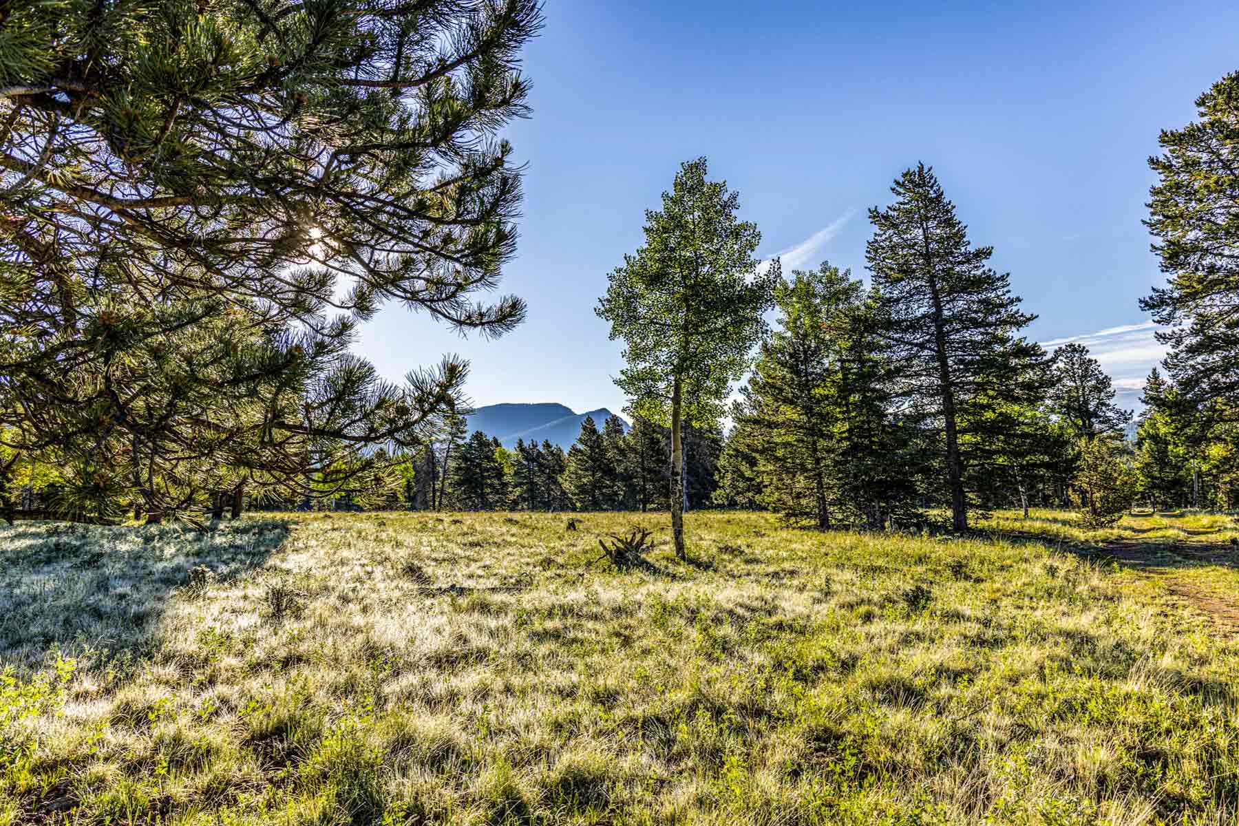 Beaver Meadows For Sale Colorado Hall and Hall