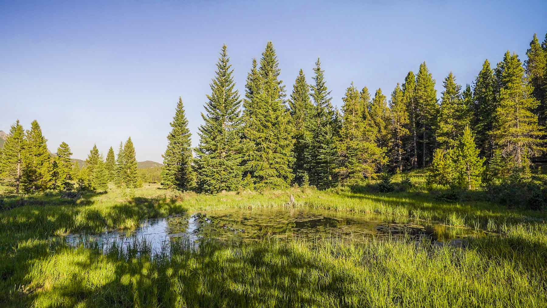 Beaver Meadows Hall and Hall