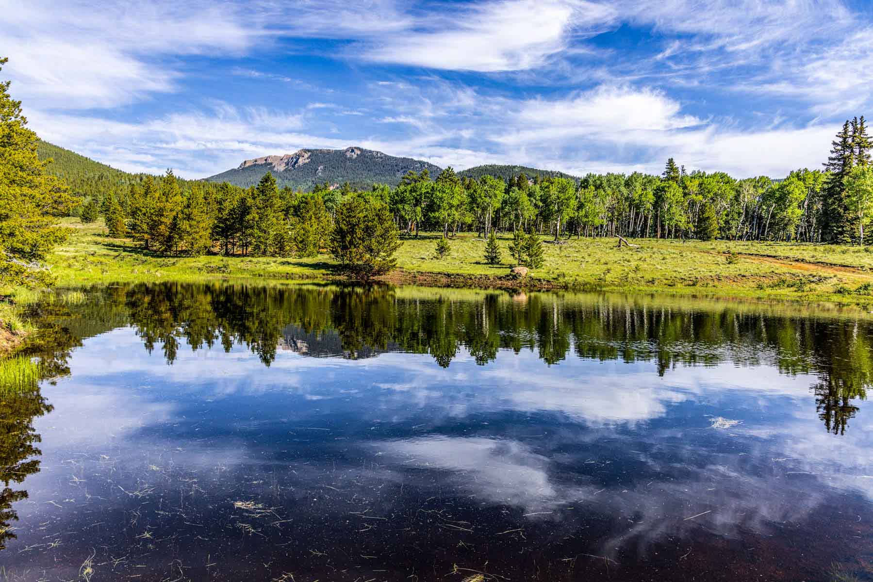 Beaver Meadows For Sale Colorado Hall and Hall