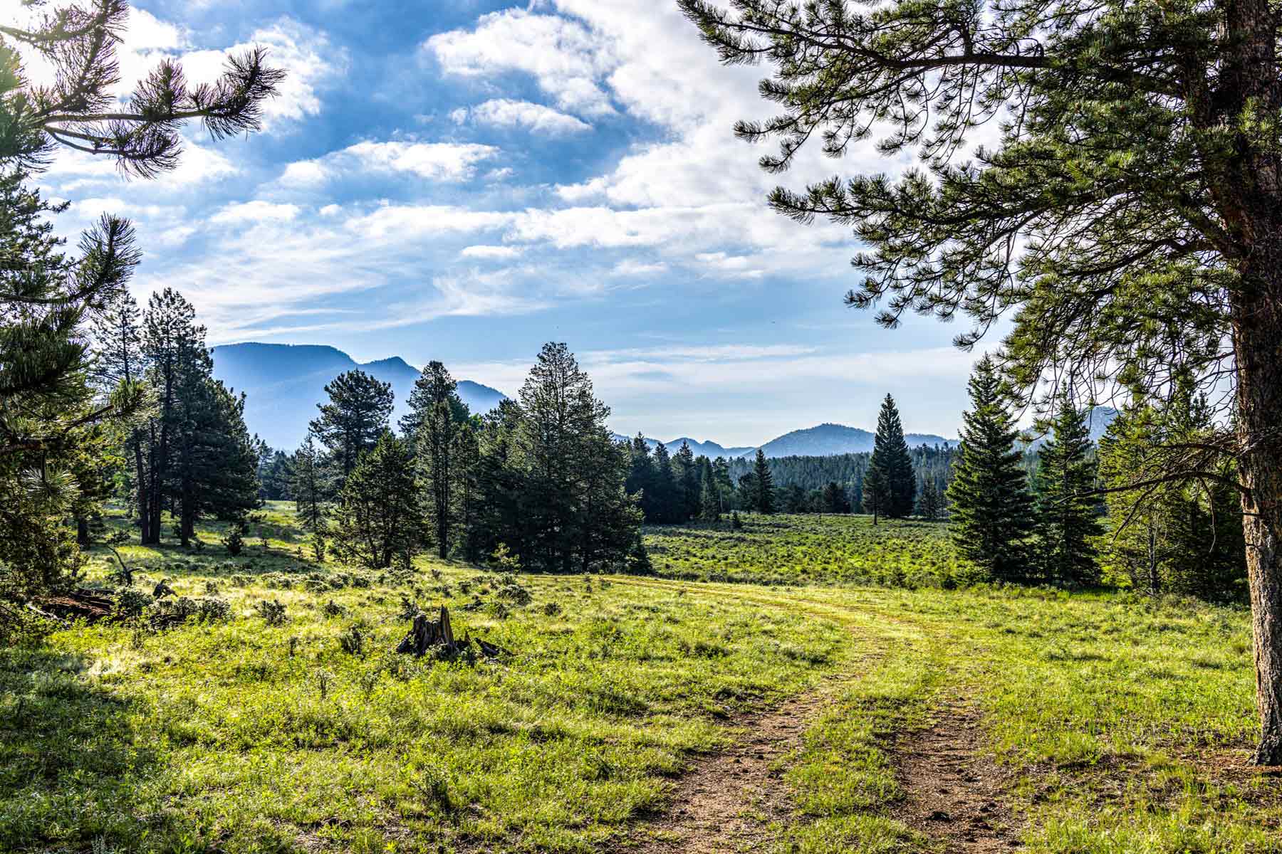 Beaver Meadows For Sale Colorado Hall and Hall
