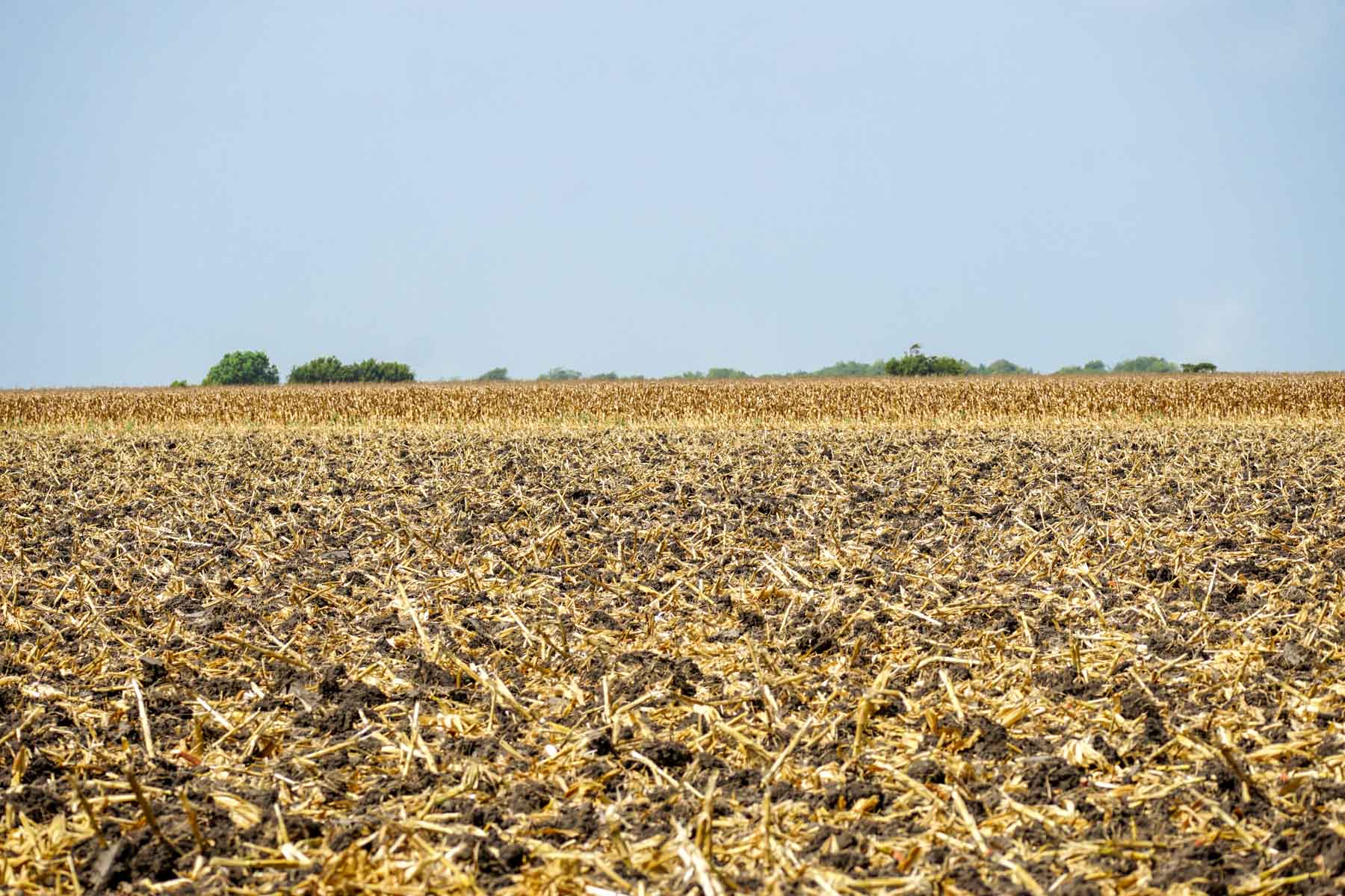 Collegeport Farms property picture 22 of 29