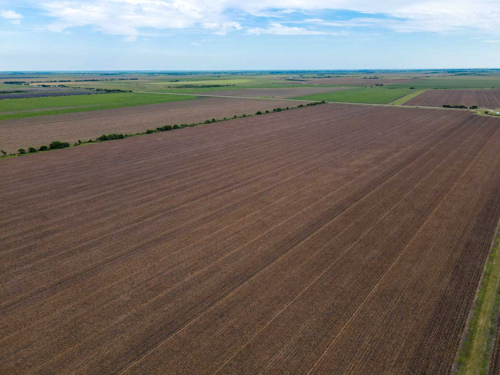 Collegeport Farms property picture 19 of 29