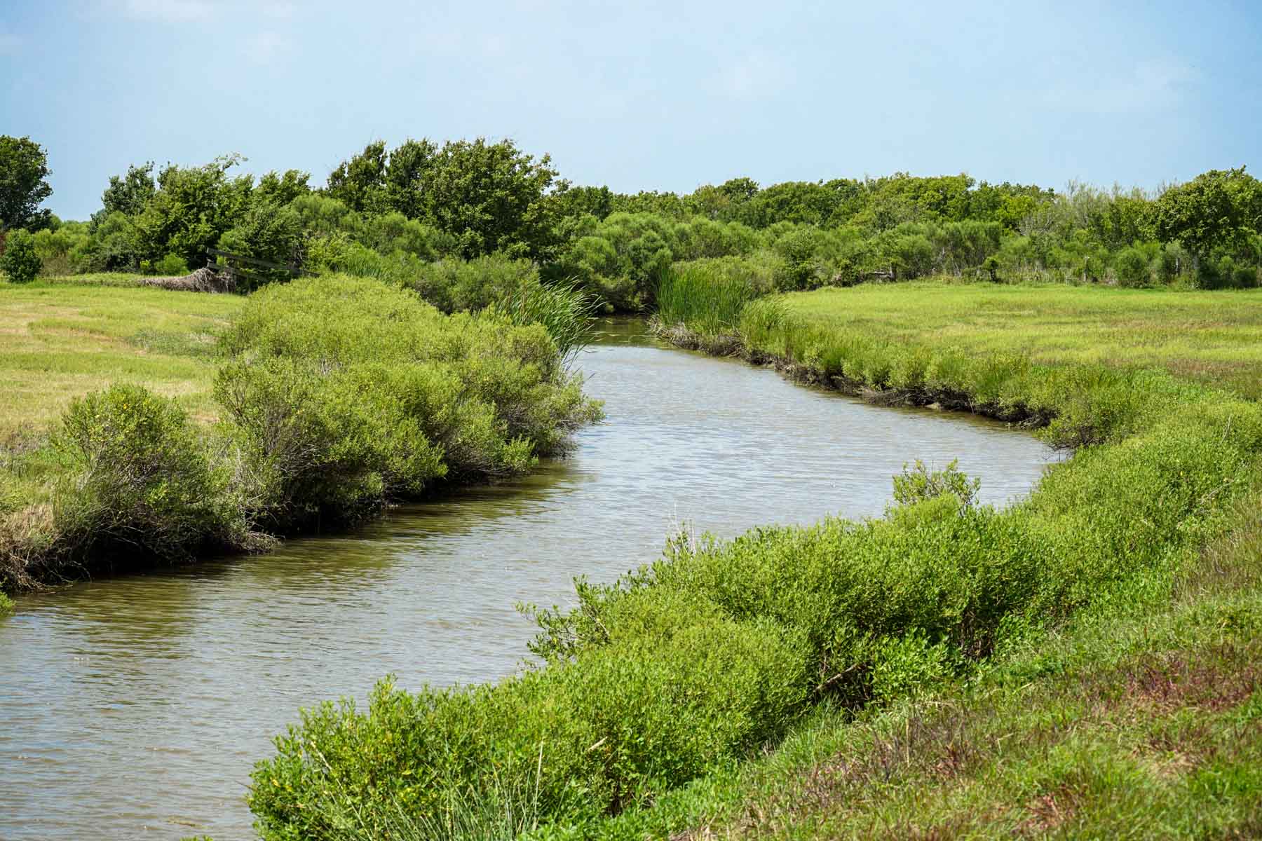 Collegeport Farms property picture 25 of 29