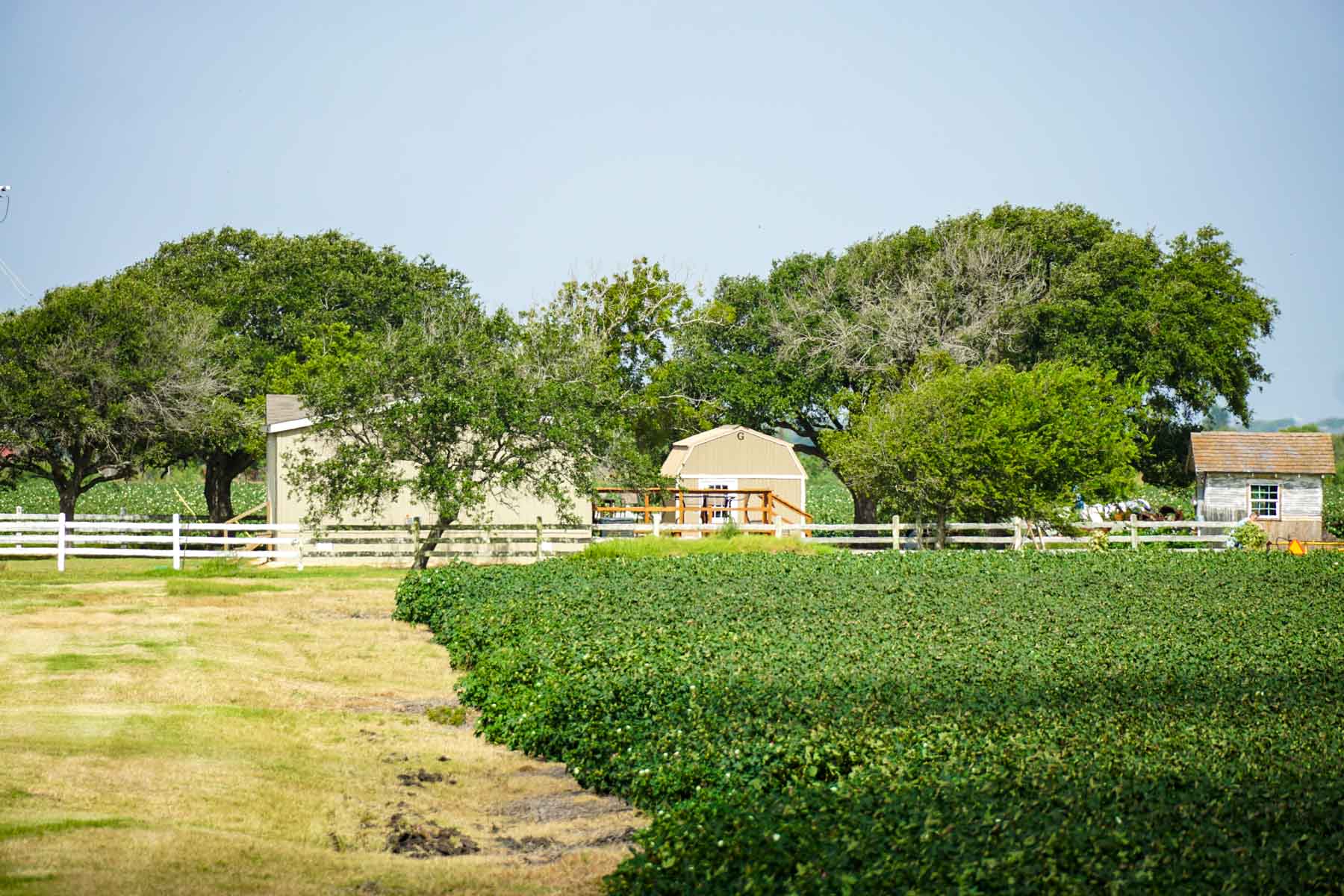 Collegeport Farms property picture 10 of 29