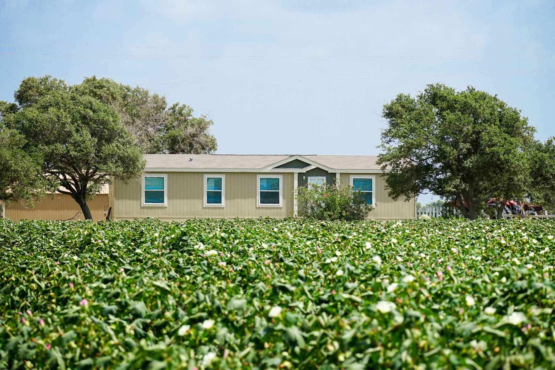 Collegeport Farms property picture 11 of 29