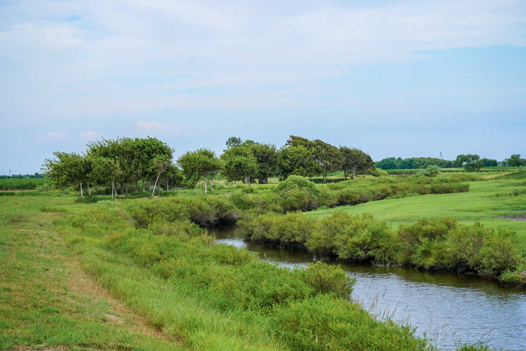 Collegeport Farms property picture 7 of 29