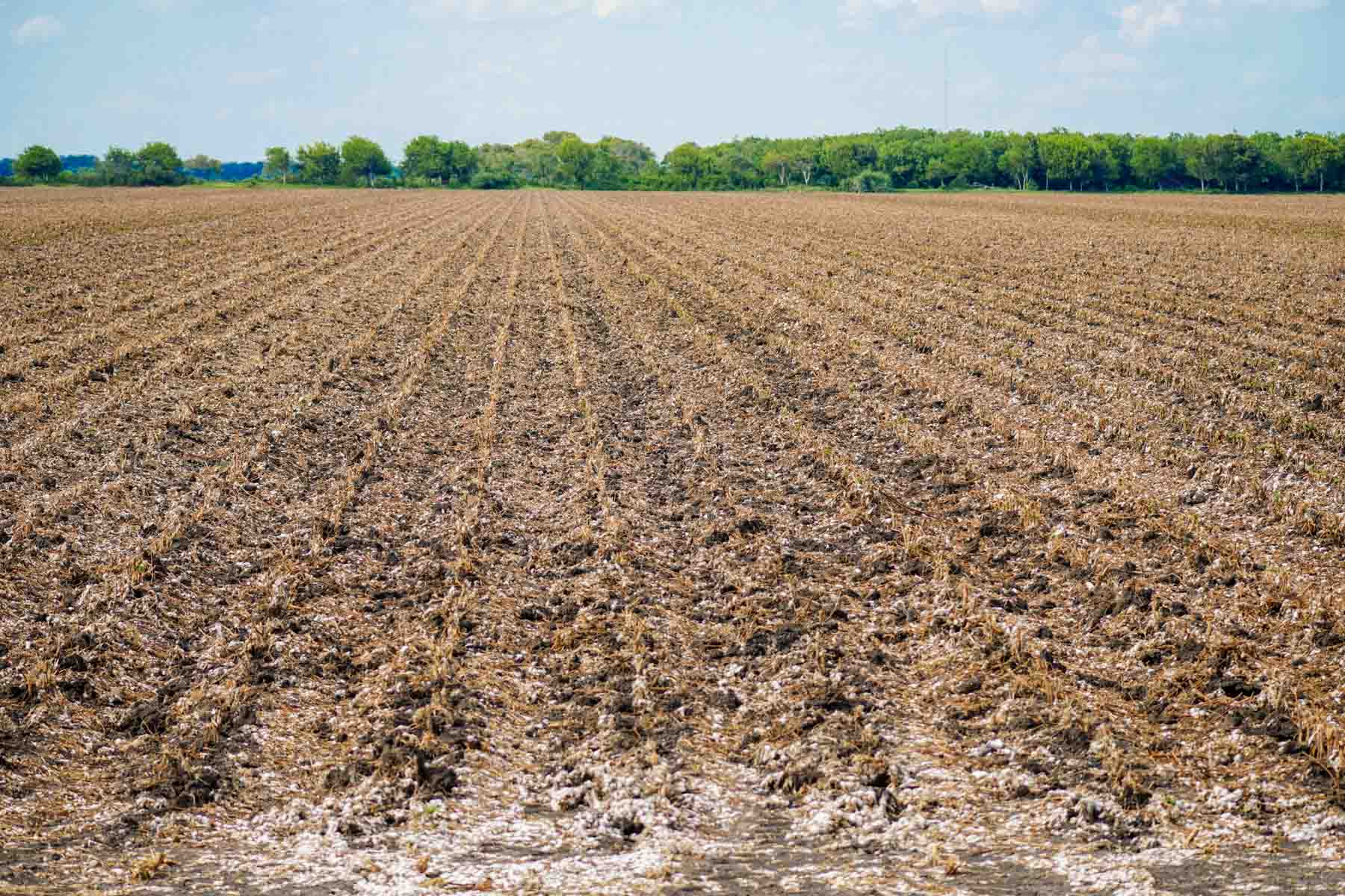 Collegeport Farms property picture 8 of 29