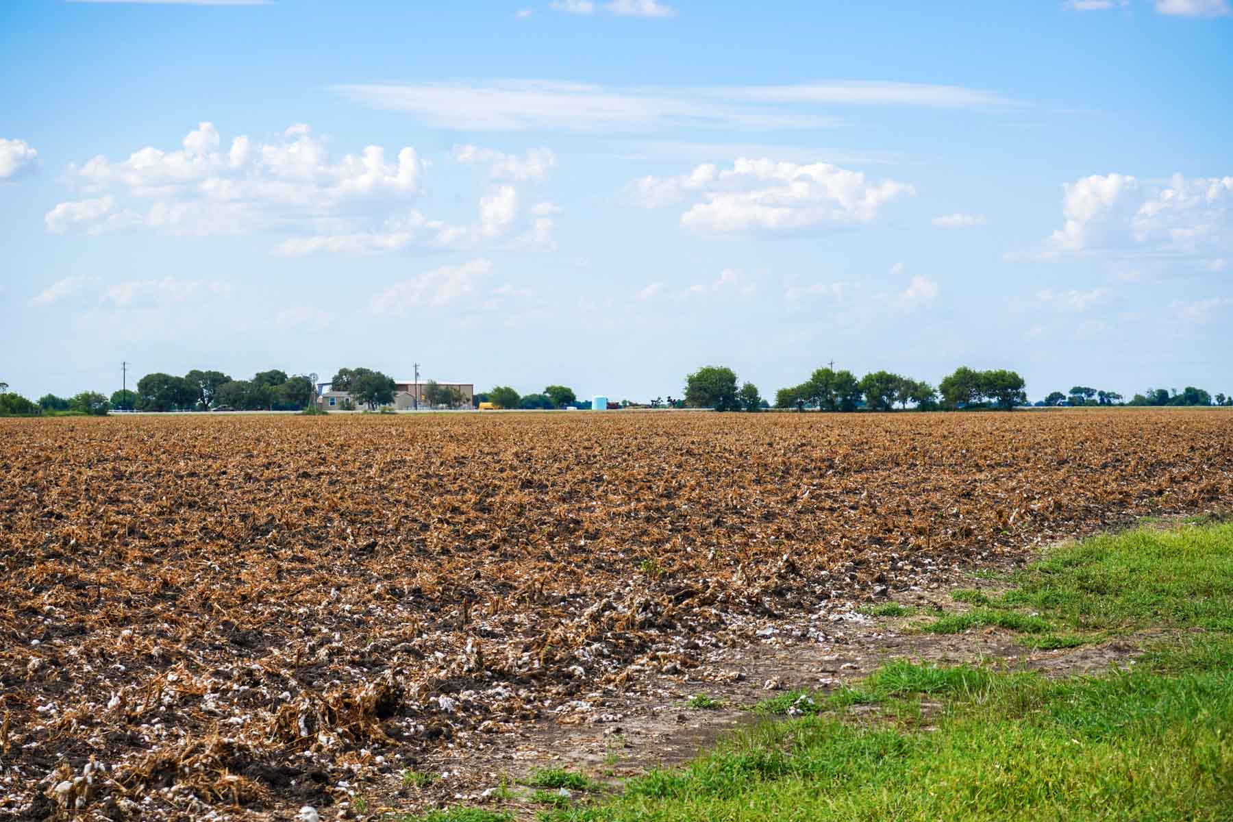 Collegeport Farms property picture 24 of 29