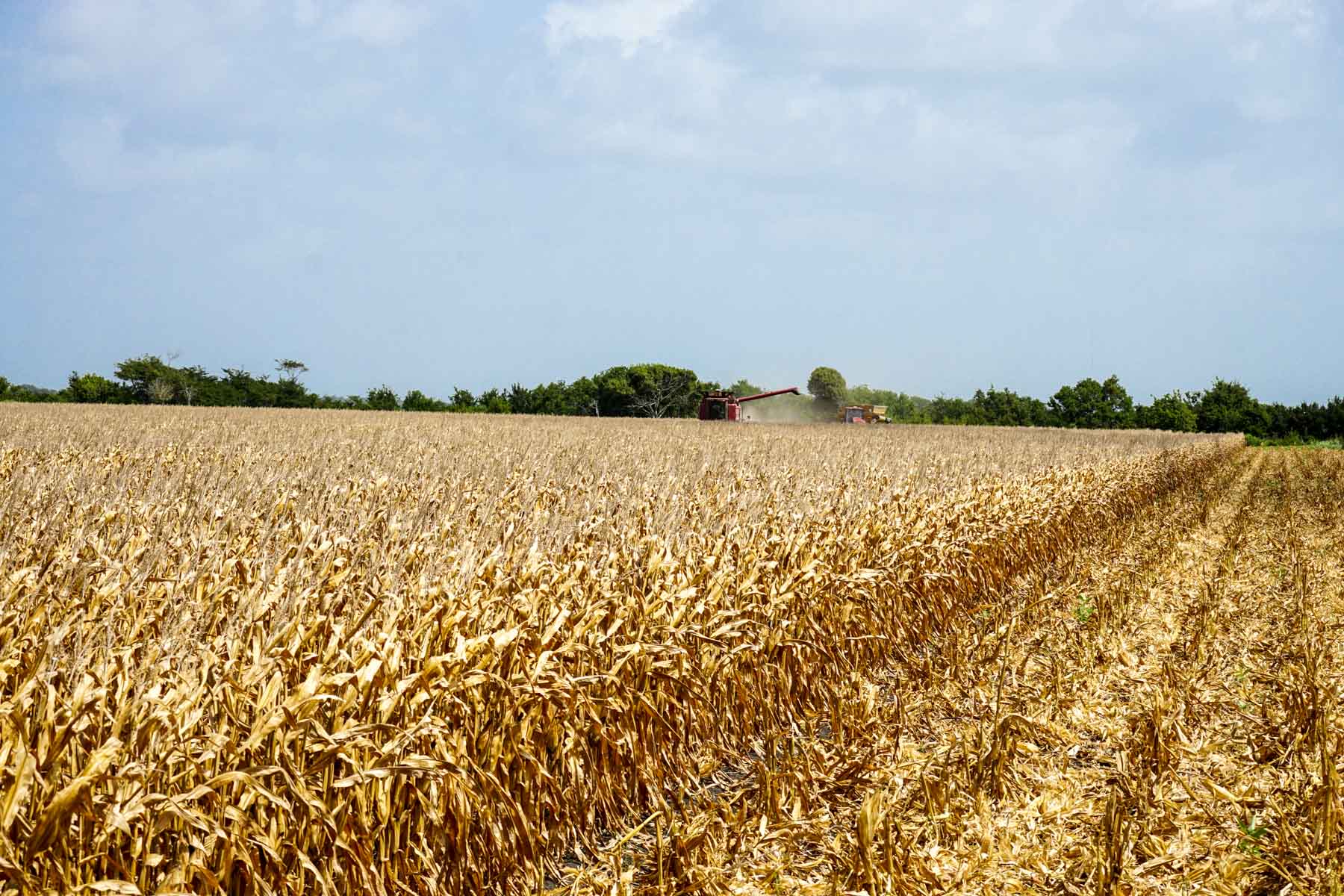 Collegeport Farms property picture 9 of 29