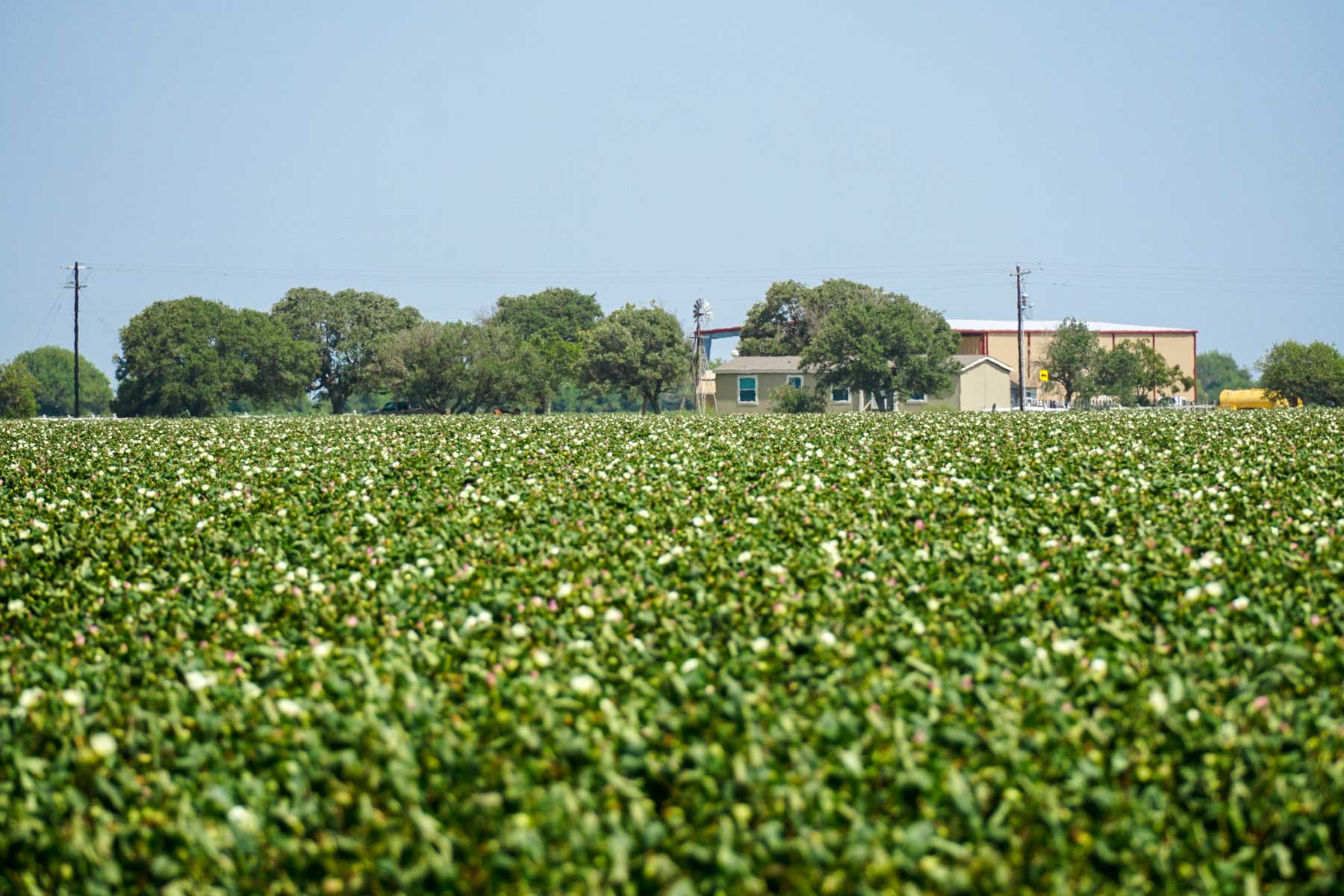 Collegeport Farms property picture 20 of 29