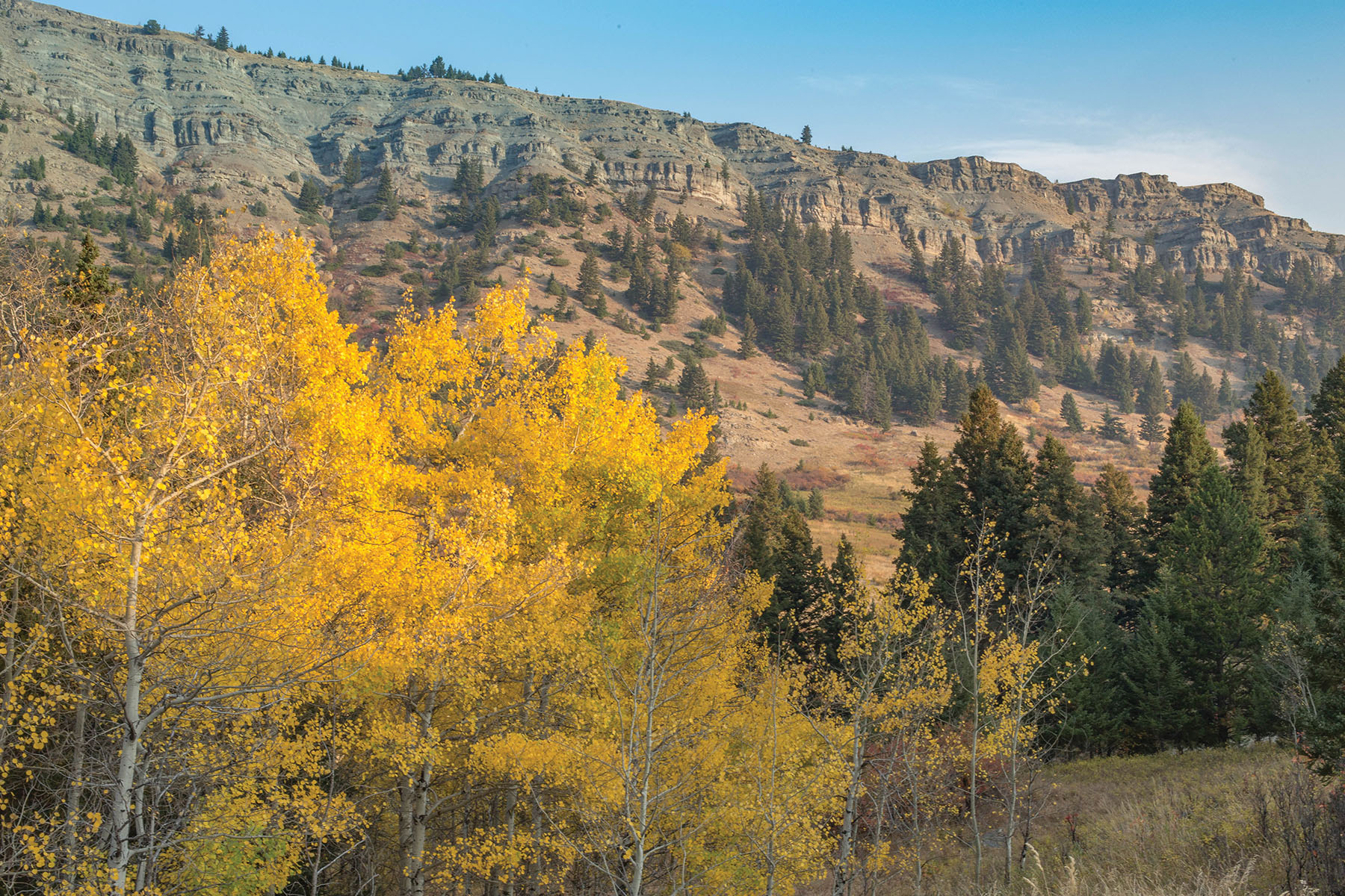 West Boulder Reserve Lot 14 Sold Montana Hall and Hall